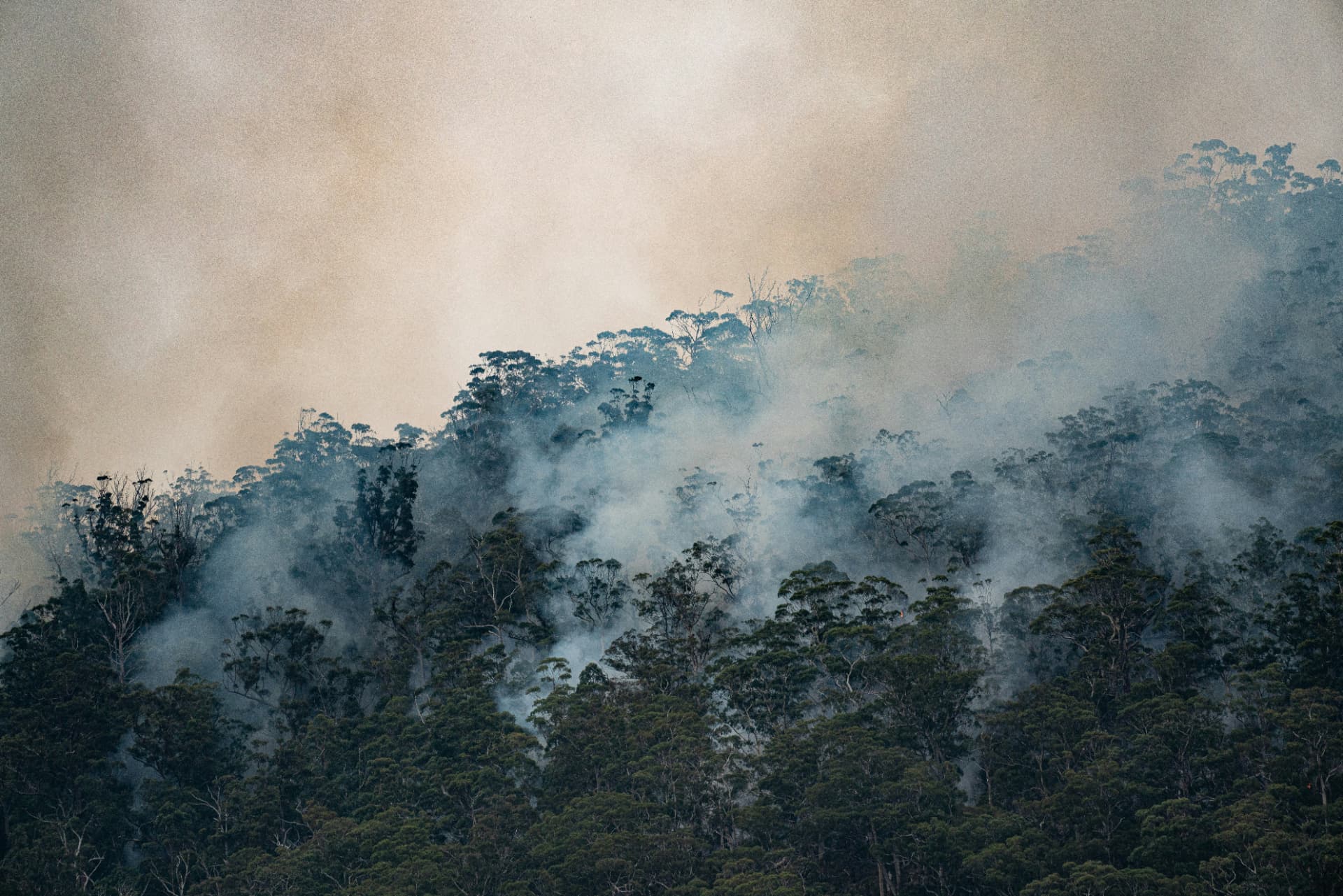 Smoke drifting through the canopy of forested hills beneath a hazy amber sky