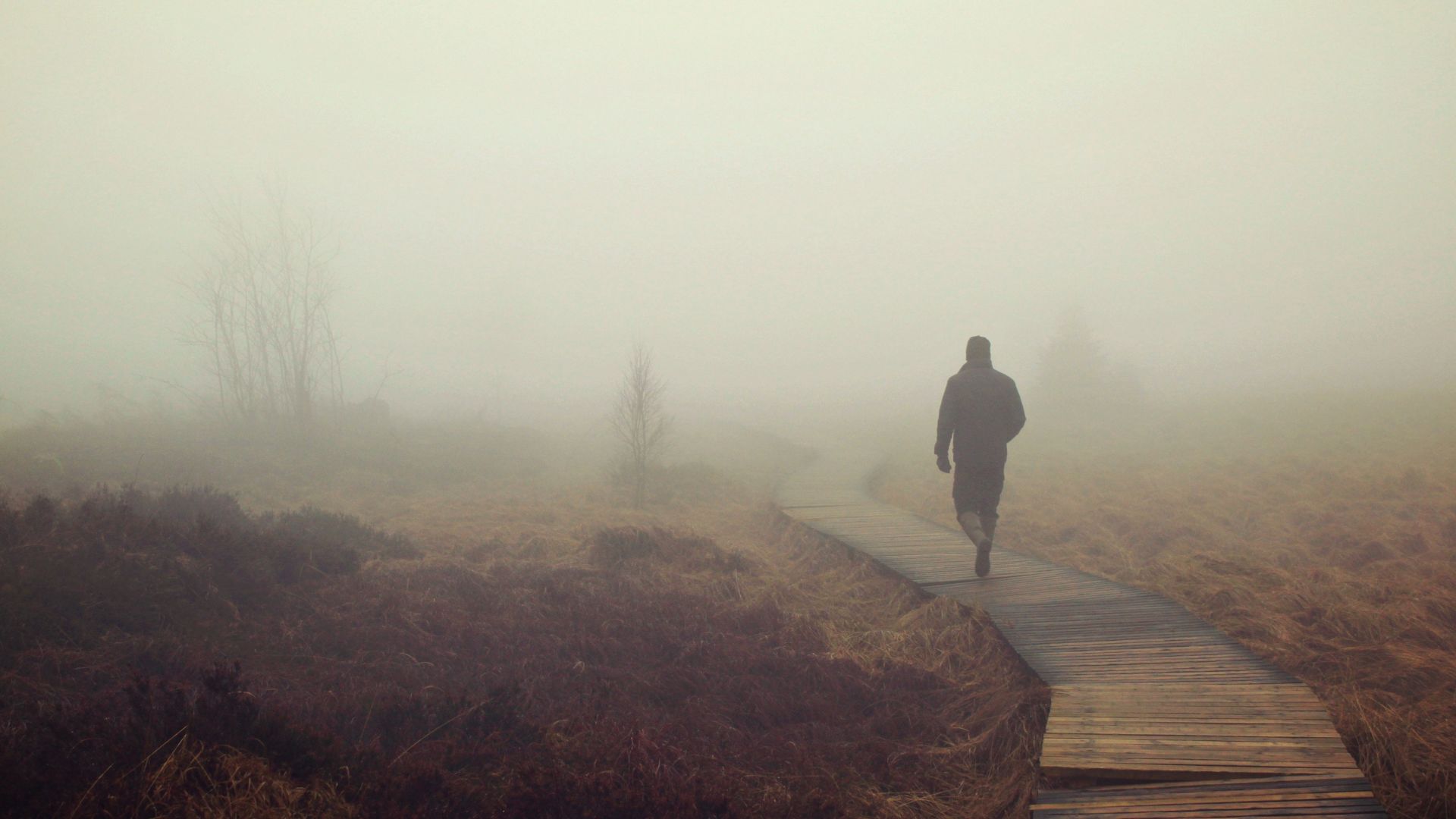 A figure walking along a quiet path in soft light